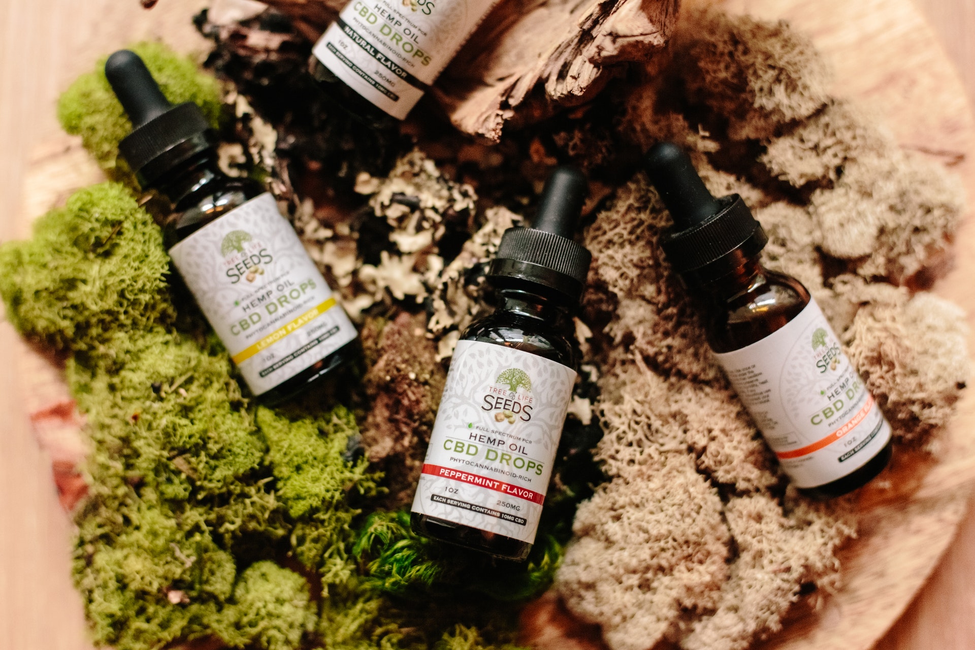 CBD Oil