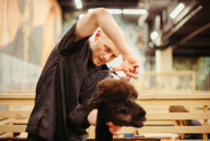 pet grooming